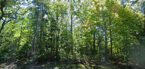 Vacant Land For Sale - 314 Fulling Mill Road<br/> Villas, NJ 08251