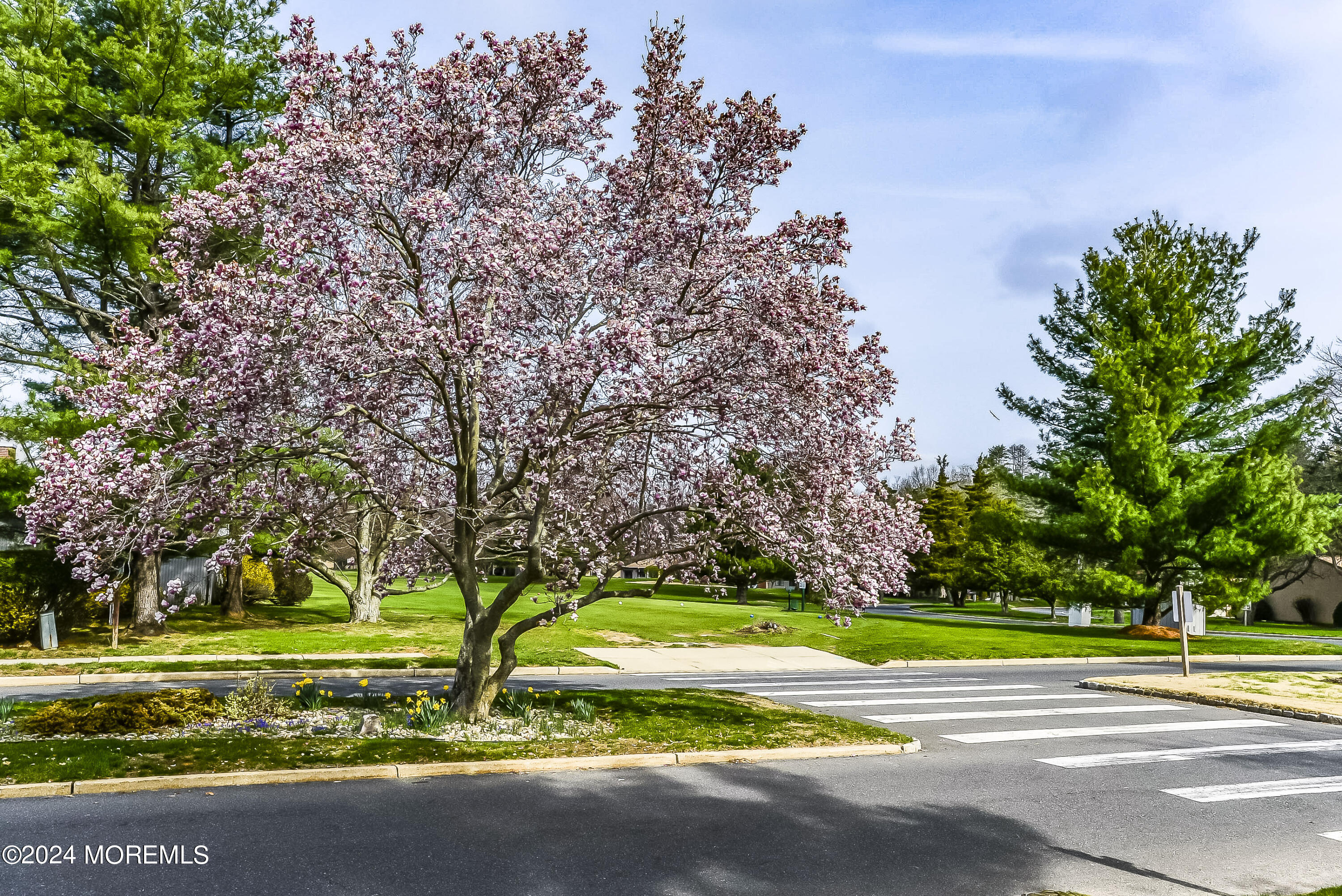 7 Claremont Court, Red Bank, New Jersey image 3