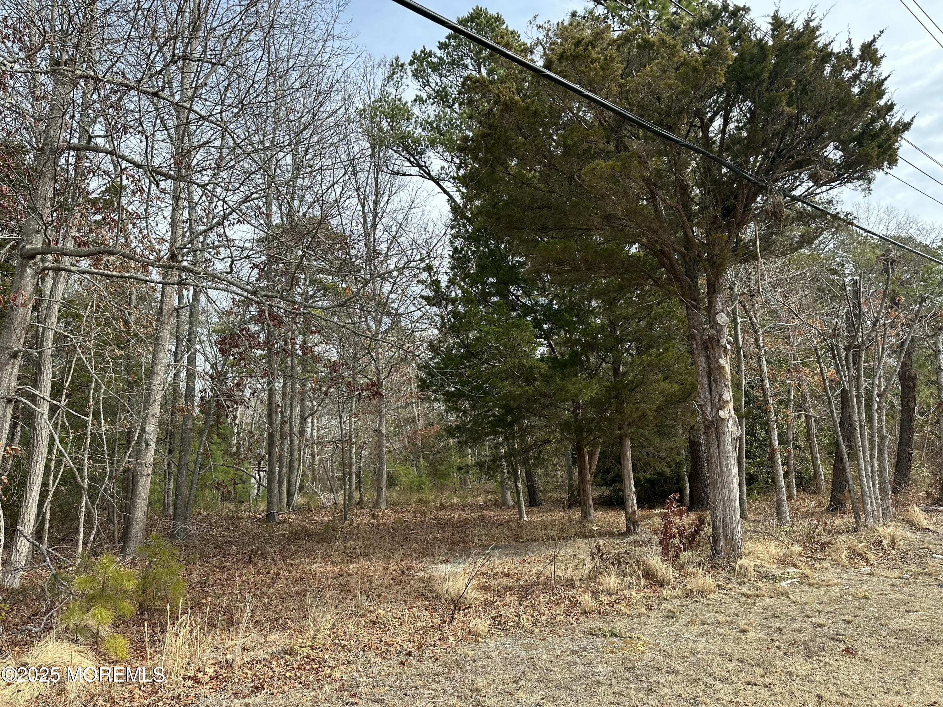5783 Route 9, Tuckerton, New Jersey image 8