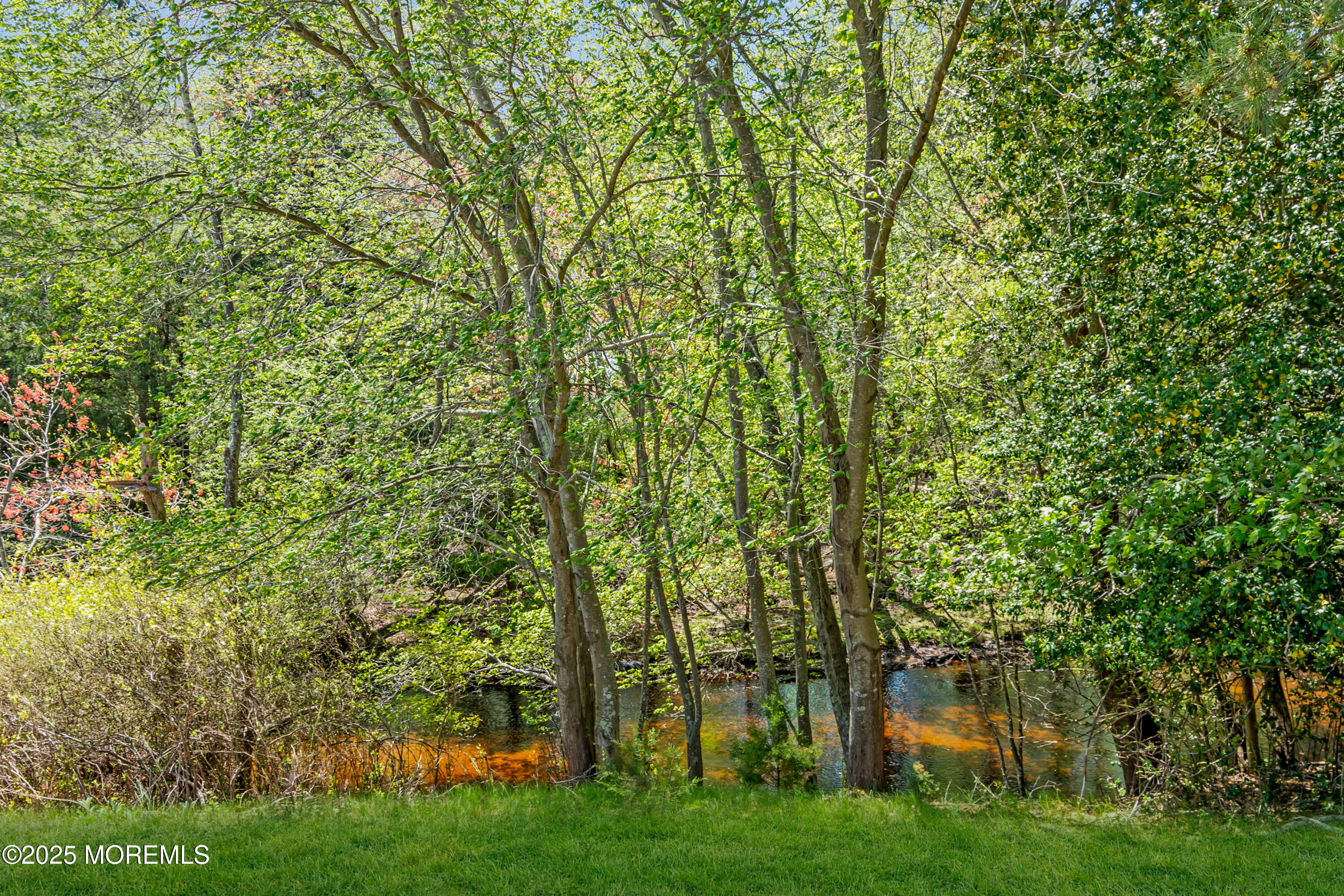51 Barbados Drive, Toms River, New Jersey image 17