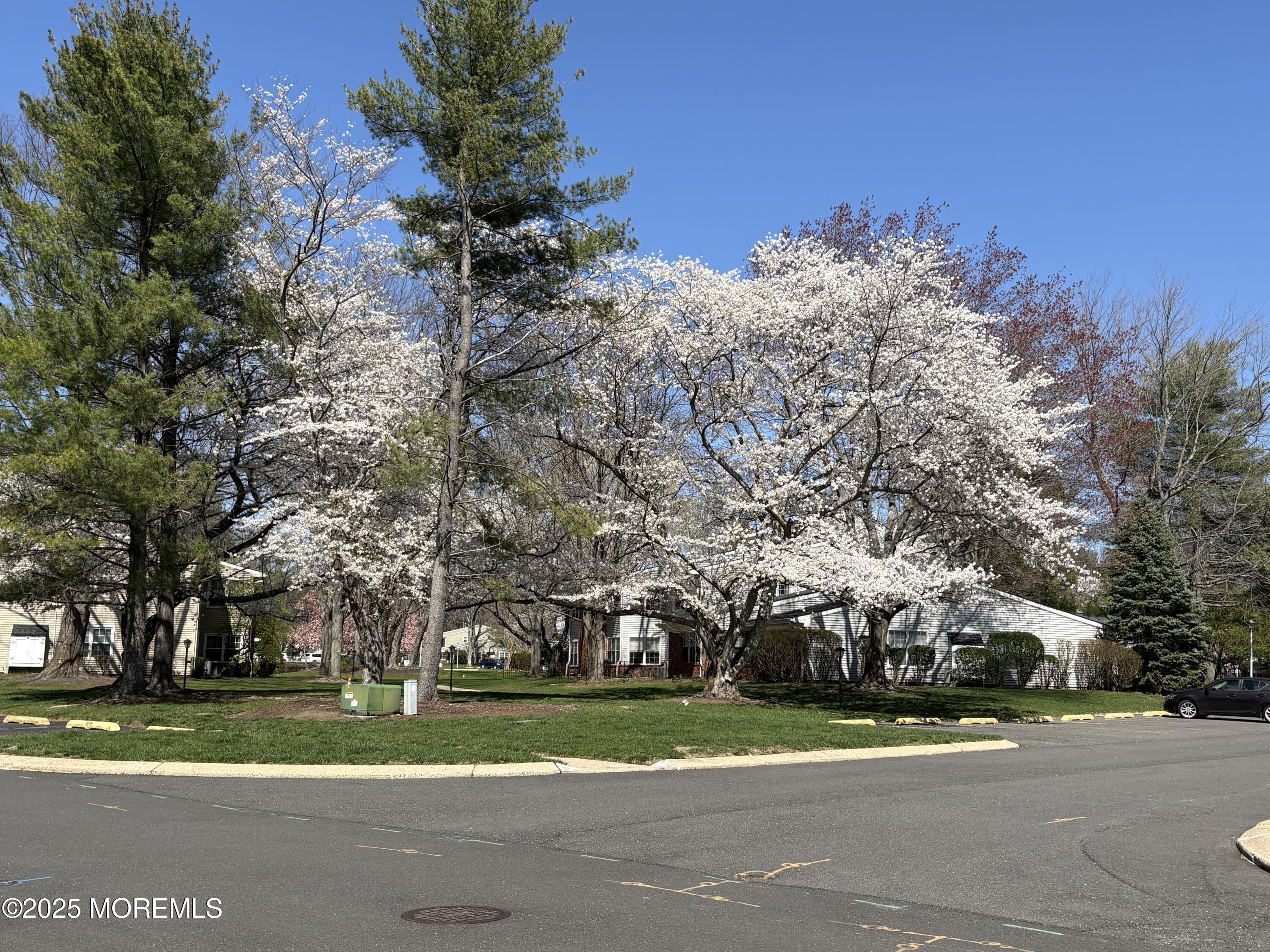 74 Boxwood Terrace #12, Red Bank, New Jersey image 33