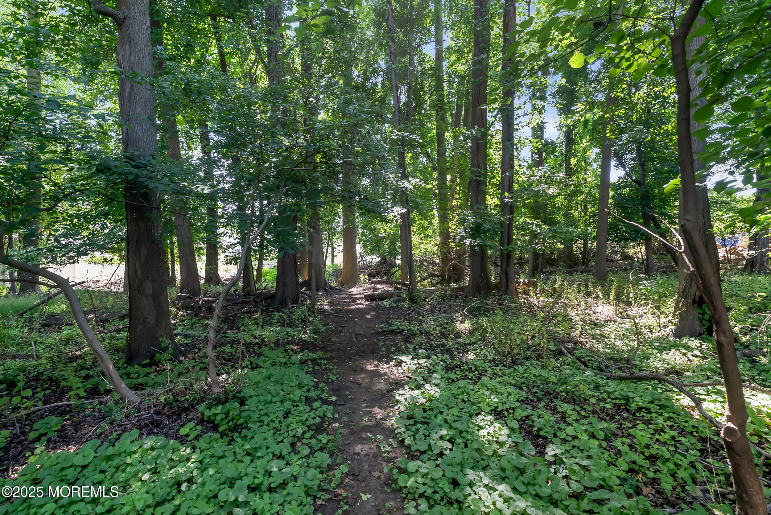 1624 Melville Street, Oakhurst, New Jersey image 43