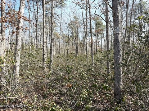 0 Birchwood Drive Tuckerton NJ 08087