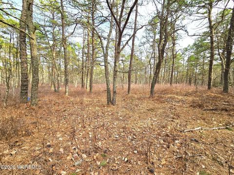 Vacant Land For Sale - Birchwood Drive<br/> Tuckerton, NJ 08087