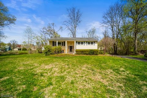 6 Lynwood Dr Lebanon Boro NJ 08833