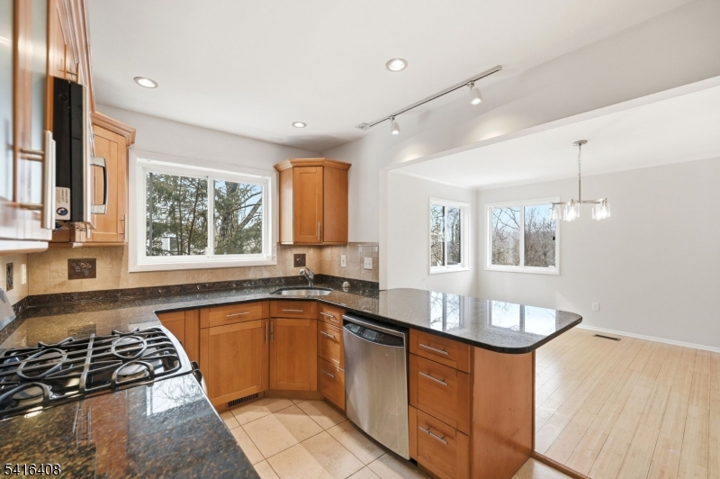 Chestnut Hill Park Condo - Residential