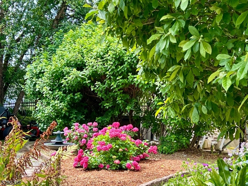 Alexandria Estates - Residential