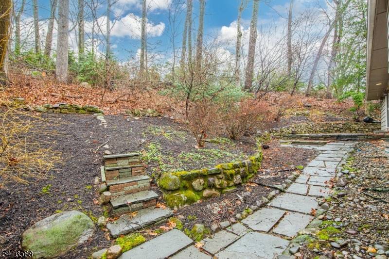 Hill Section - Residential