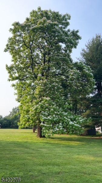 Whitehouse Station - Residential