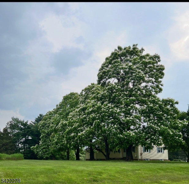Whitehouse Station - Residential