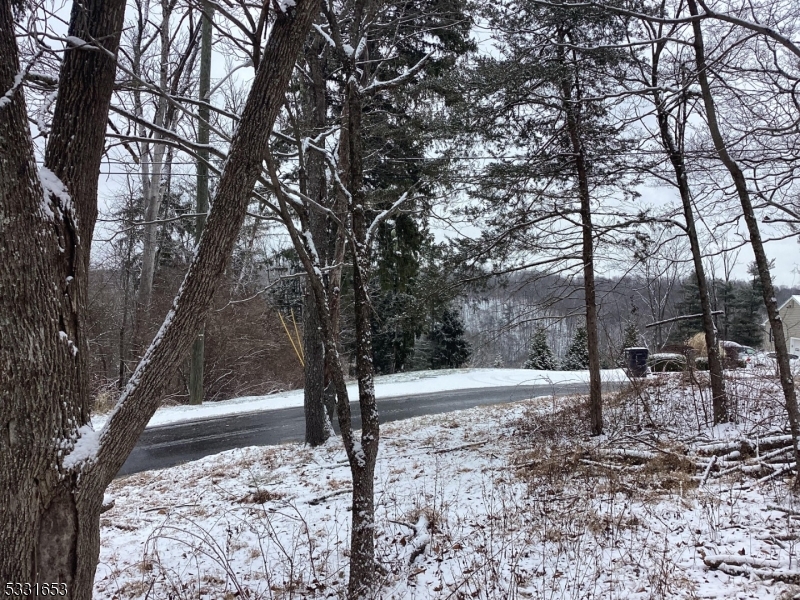 Bring your new home plans . This sparsely wooded lot is ready to go. City sewer and water already on the property for easy hook up. Great location with a short drive to the lovely river towns of Milford and Frenchtown. Great dining and shops or just take a walk around town. This is priced to sell. Builders welcome !