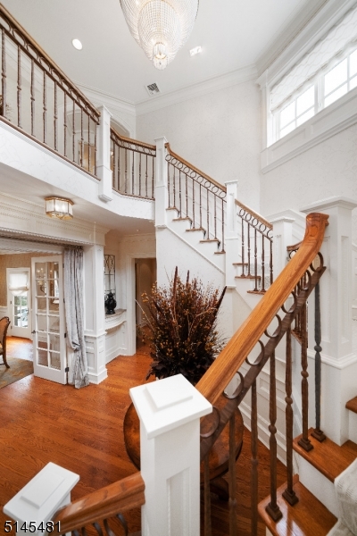 The Pond - Residential