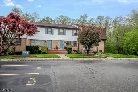 130 Stedwick Drive Mount Olive Twp. NJ 07828