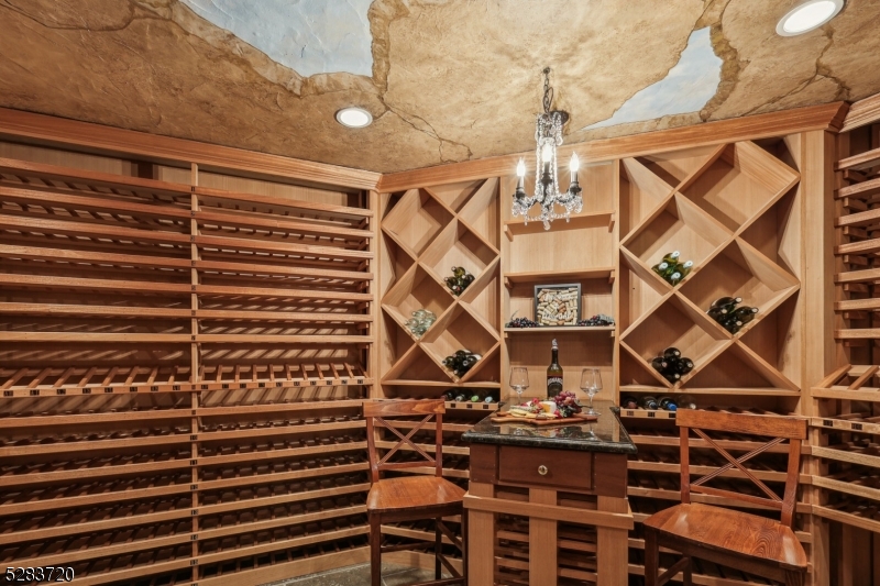 RIKER HILL - Residential