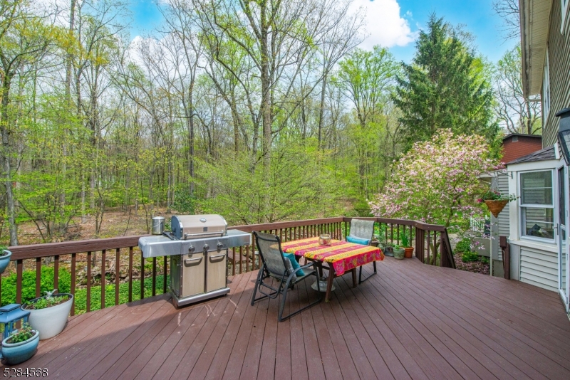 Shongum Lake - Residential