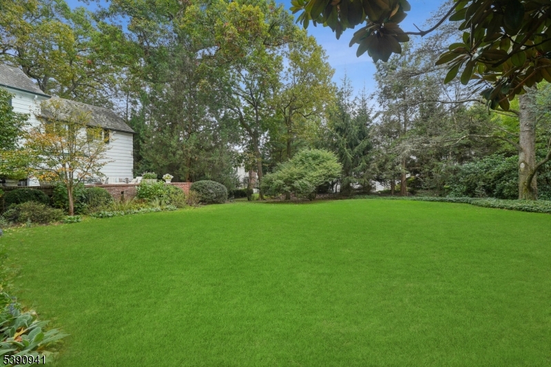 OLD SHORT HILLS - Residential