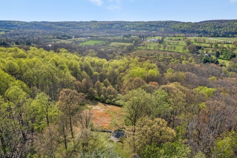 Turtleback Road - Residential