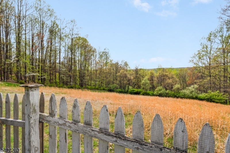 Turtleback Road - Residential