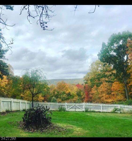 Turtleback Road - Residential