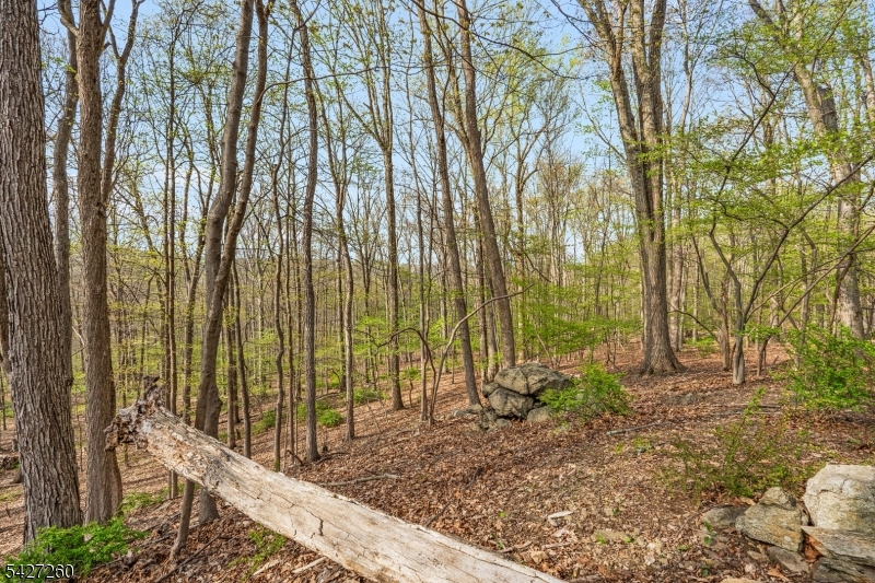 Turtleback Road - Residential