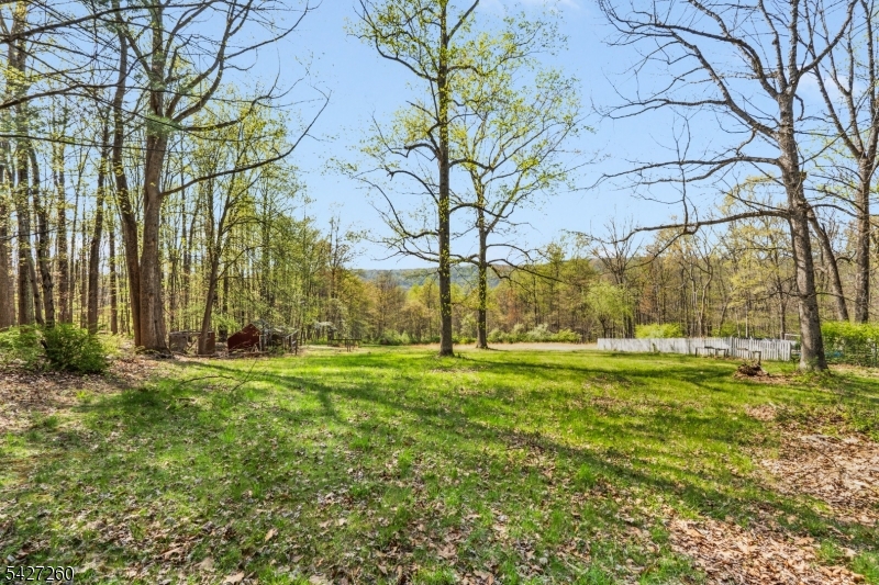 Turtleback Road - Residential