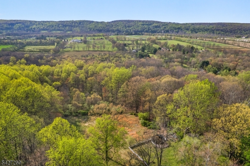 Turtleback Road - Residential