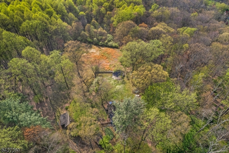 Turtleback Road - Residential