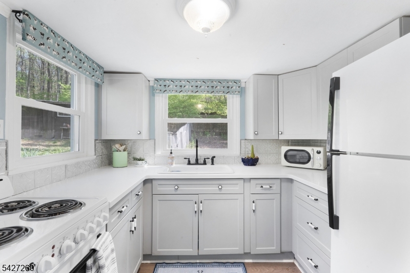 Turtleback Road - Residential