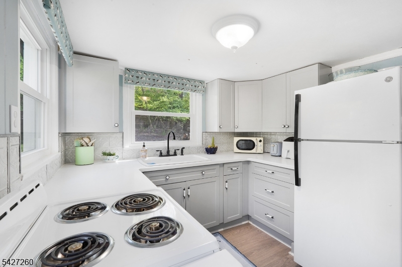 Turtleback Road - Residential
