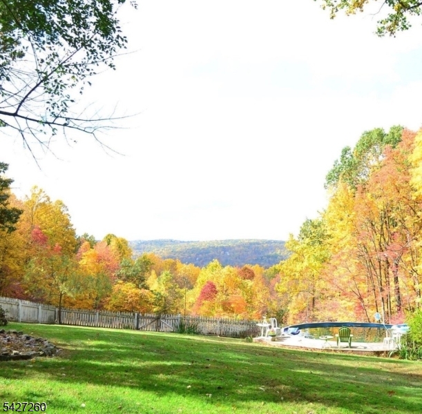 Turtleback Road - Residential