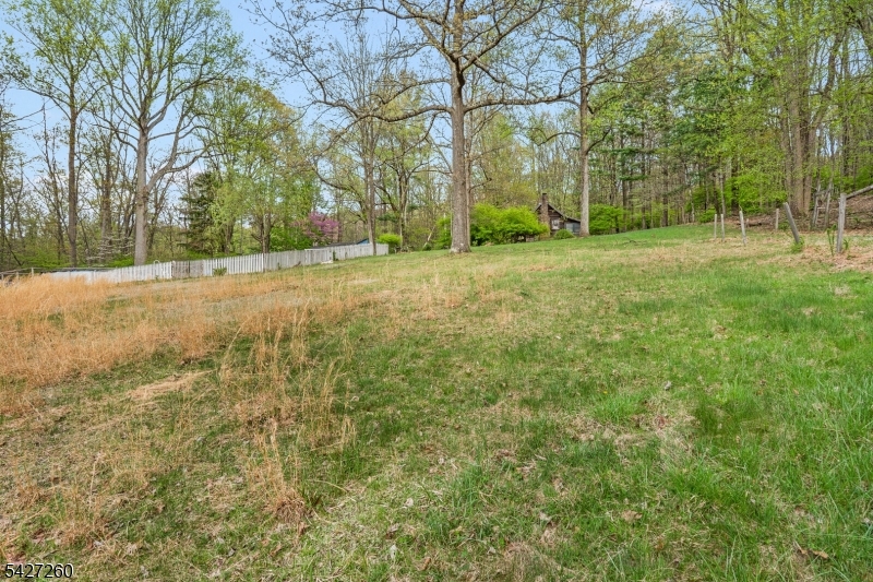 Turtleback Road - Residential