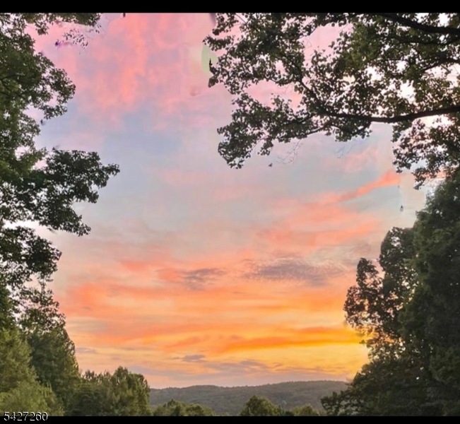 Turtleback Road - Residential