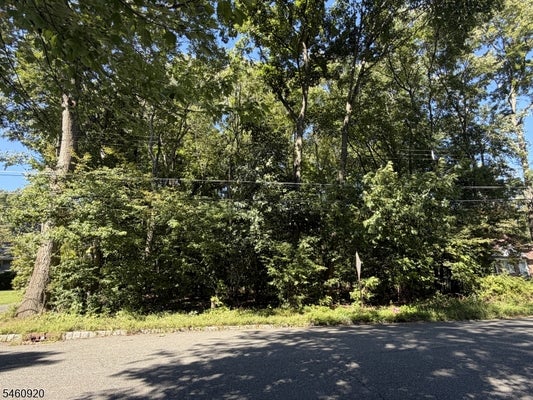 74 PRESTON RD, PARSIPPANY, NJ 07054 - Image 07879ceda9cccebfa162e0fdc4b26e44/158711067