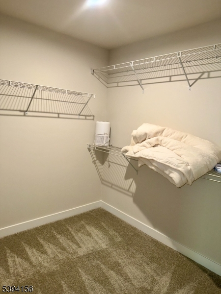 COMMON ELEMENTS - Residential Lease