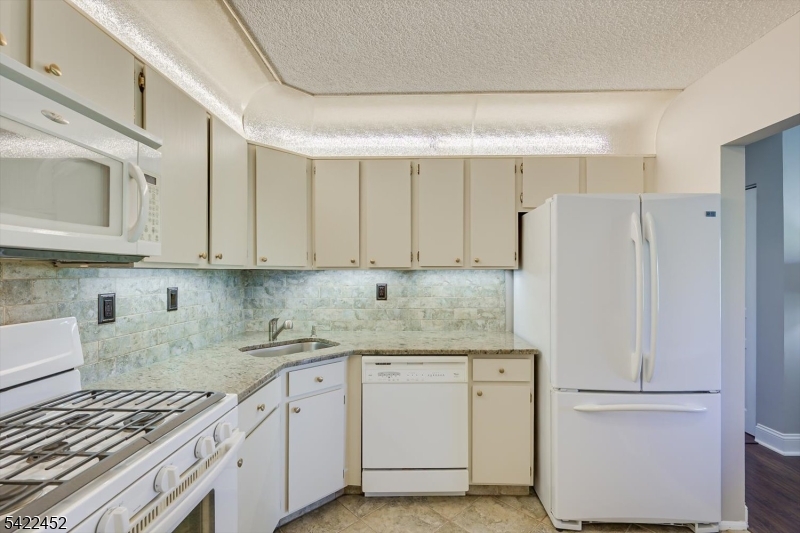 Society Hill at Somerset II - Residential