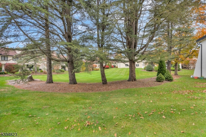 Convent Mews - Residential Lease