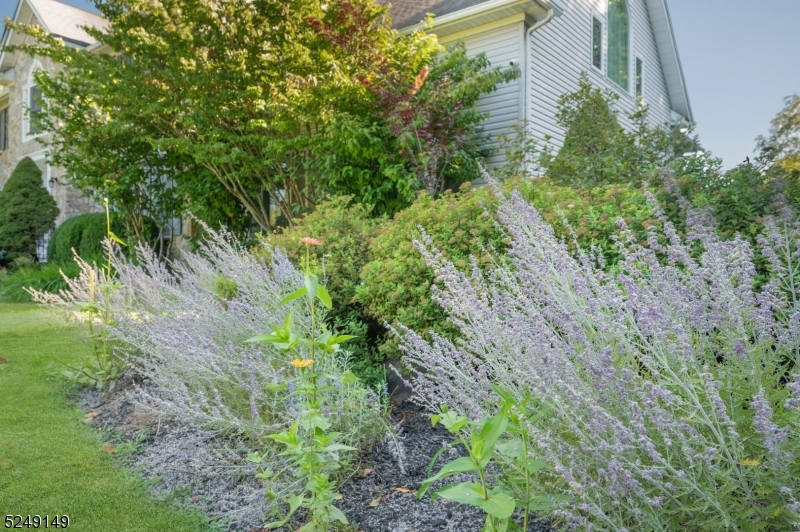 Highland Farm - Residential