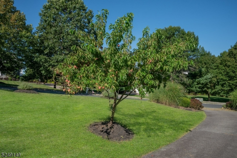 Highland Farm - Residential