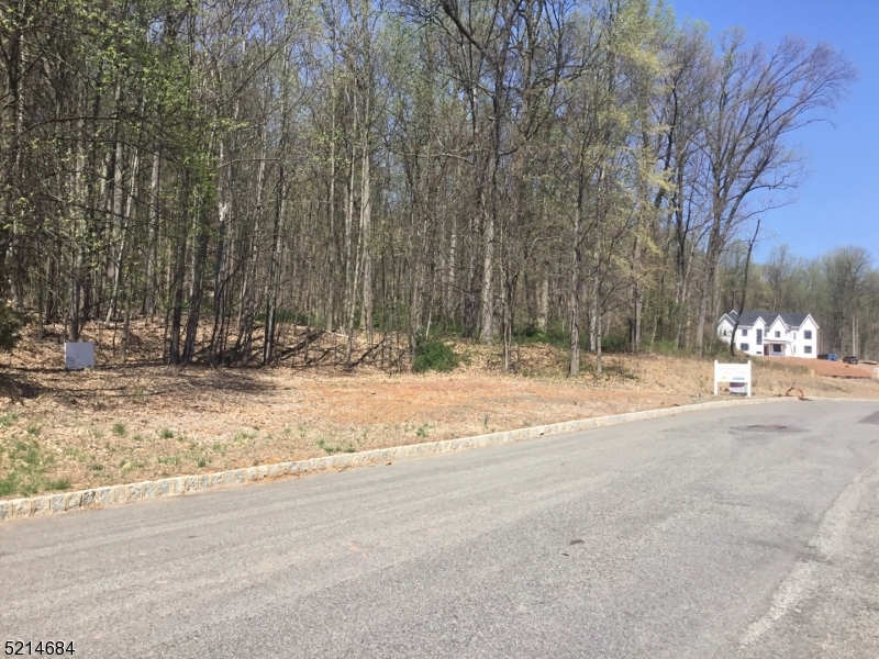 Twin Brooks at Warren - Residential