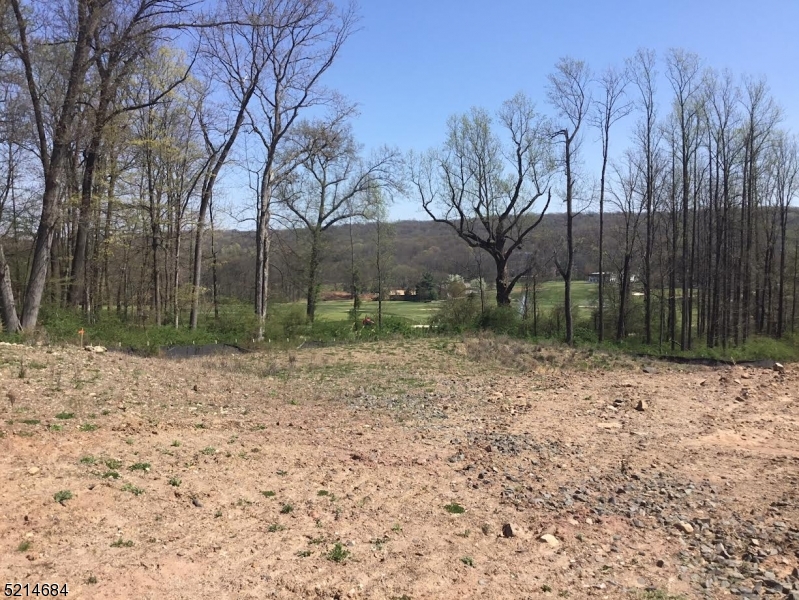 Twin Brooks at Warren - Residential