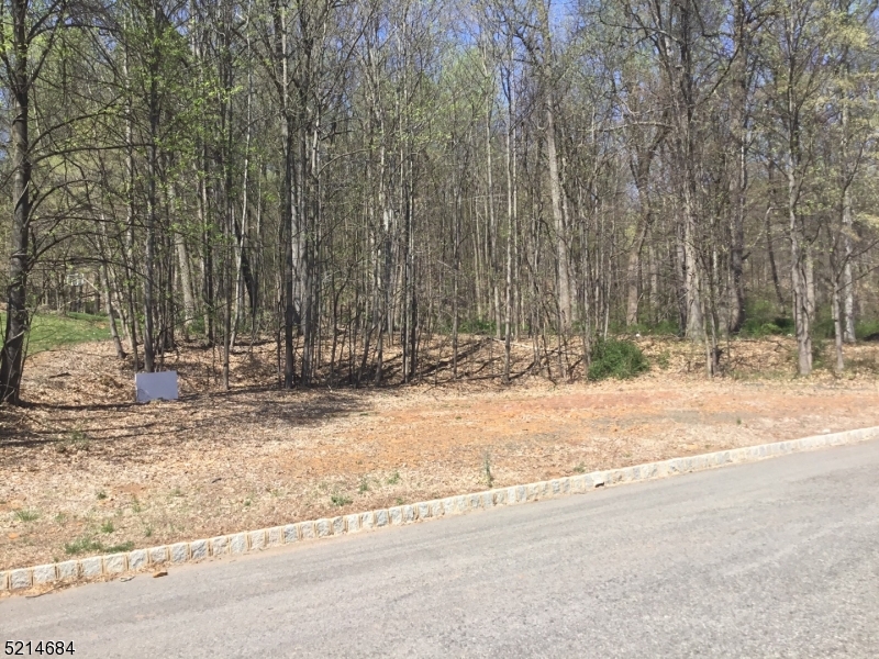 Twin Brooks at Warren - Residential