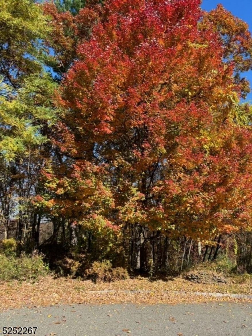 Picture living on a beautiful 3 acre wooded lot at the end of a cul de sac in an established neighborhood of high end homes. In the country yet convenient to highways and shopping. Build your dream home here. Boonton township boasts excellent school 1-8th grade and Mt. Lakes HIgh School.