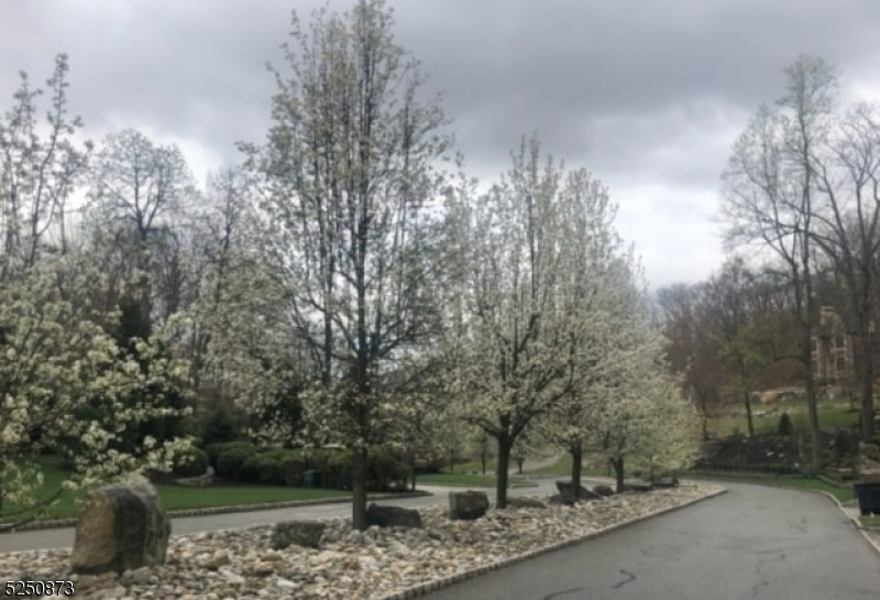 Estates at Valhalla - Land