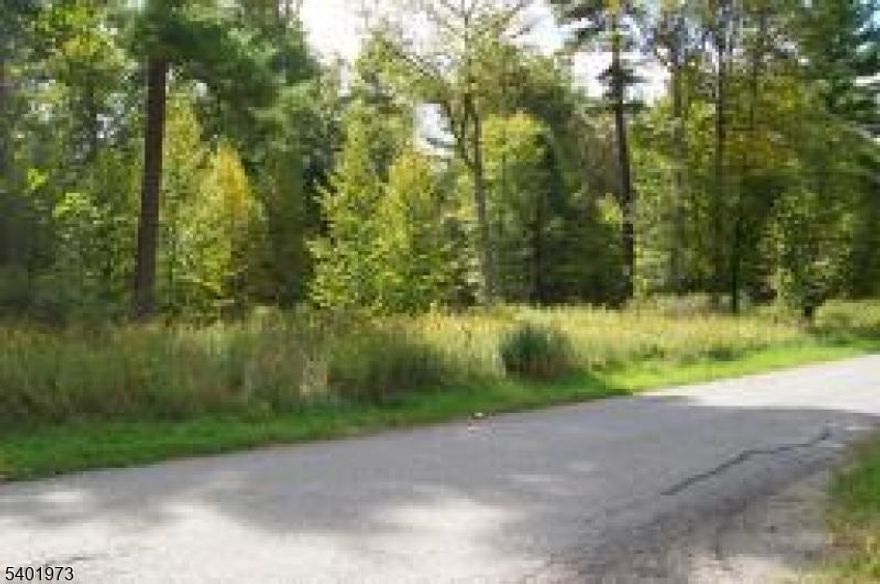 BUILDABLE LOT WITHIN THE HIGH POINT COUNTRY CLUB.