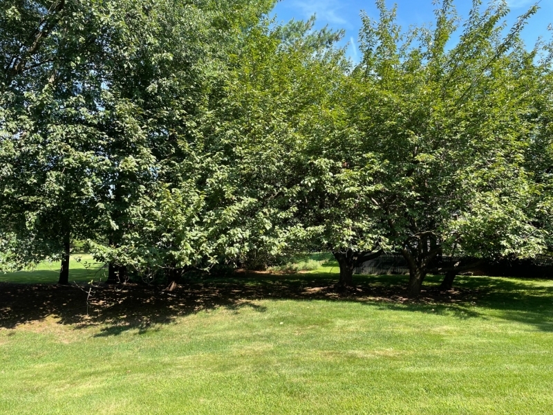 Vanderhaven Farms - Residential