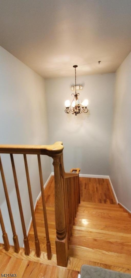 Olympus Court LLC - Residential