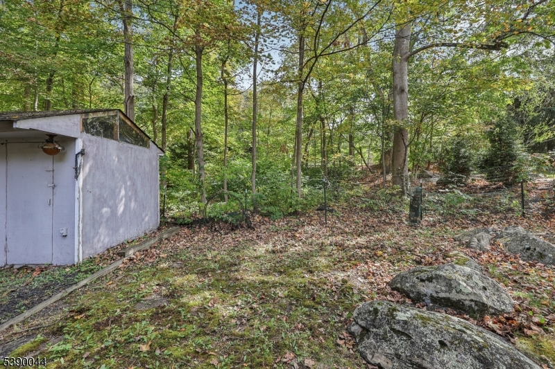 Cupsaw Lake - Residential