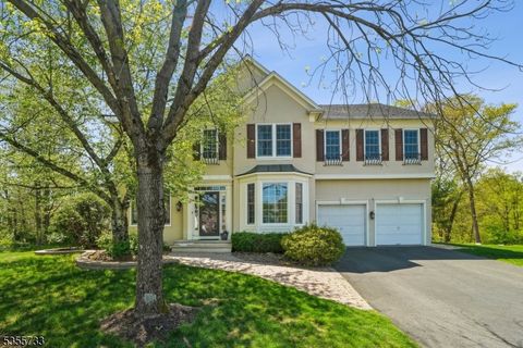 38 Revere Dr Bedminster Twp. NJ 07921