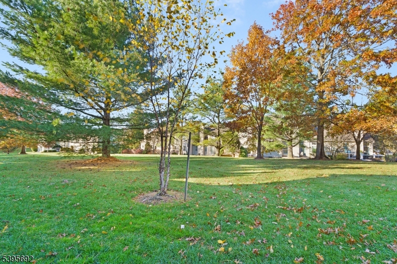 Bridle Club - Residential