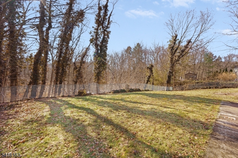 Cupsaw Lake - Residential